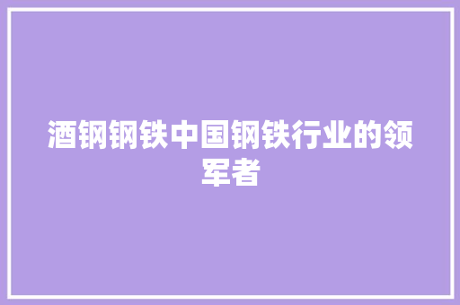 酒钢钢铁中国钢铁行业的领军者