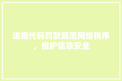 违规代码罚款规范网络秩序，维护信息安全