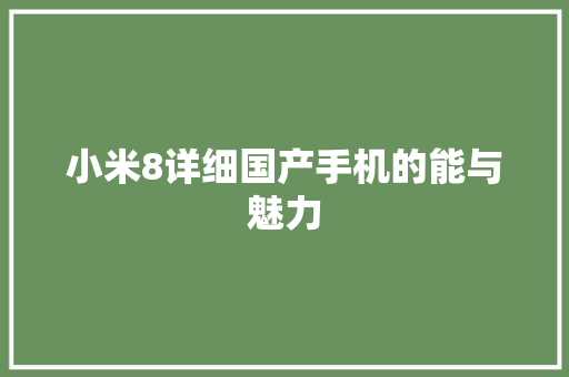 小米8详细国产手机的能与魅力