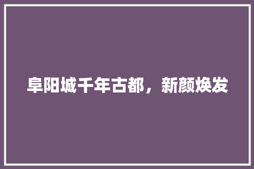 阜阳城千年古都，新颜焕发