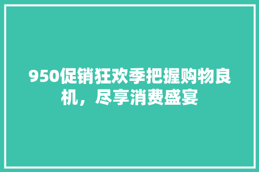 950促销狂欢季把握购物良机，尽享消费盛宴