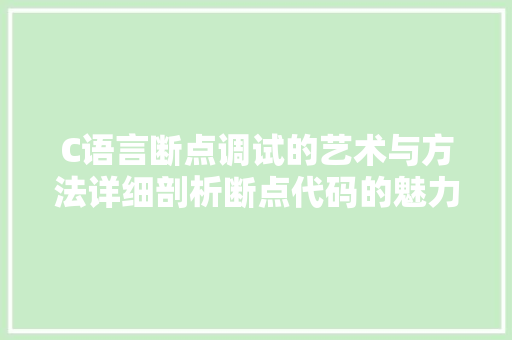 C语言断点调试的艺术与方法详细剖析断点代码的魅力