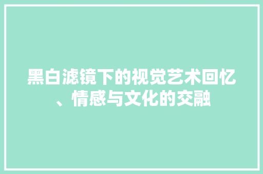 黑白滤镜下的视觉艺术回忆、情感与文化的交融