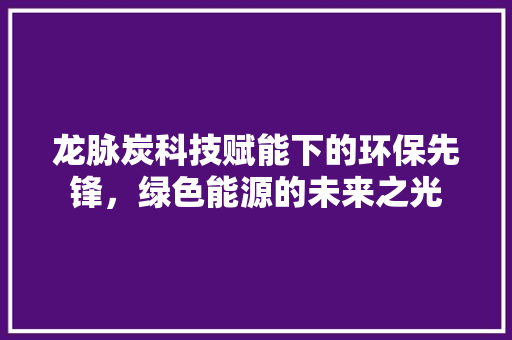 龙脉炭科技赋能下的环保先锋，绿色能源的未来之光  第1张