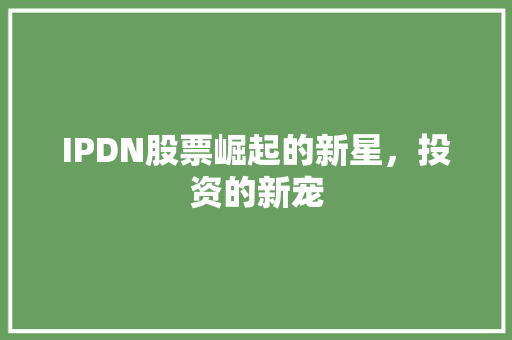 IPDN股票崛起的新星，投资的新宠