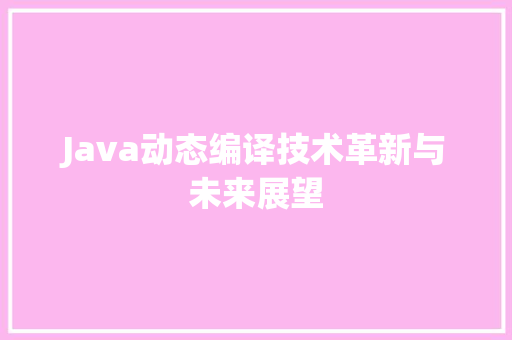 Java动态编译技术革新与未来展望