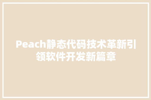 Peach静态代码技术革新引领软件开发新篇章