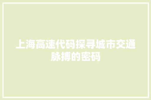 上海高速代码探寻城市交通脉搏的密码