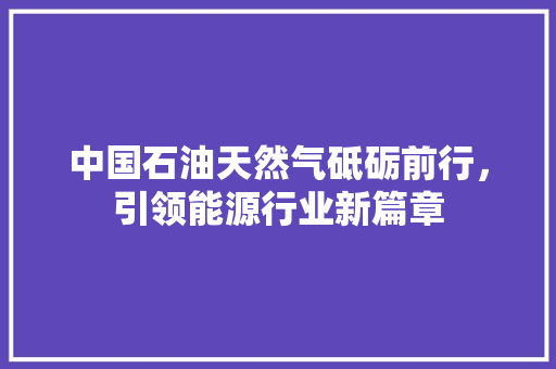 中国石油天然气砥砺前行，引领能源行业新篇章  第1张