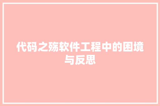 代码之殇软件工程中的困境与反思