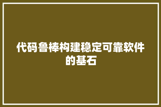 代码鲁棒构建稳定可靠软件的基石  第1张