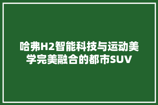 哈弗H2智能科技与运动美学完美融合的都市SUV