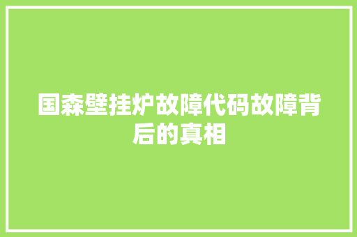 国森壁挂炉故障代码故障背后的真相  第1张