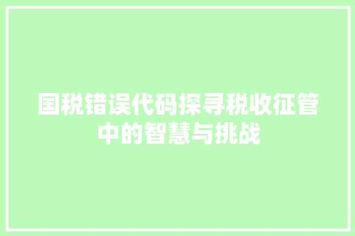 国税错误代码探寻税收征管中的智慧与挑战