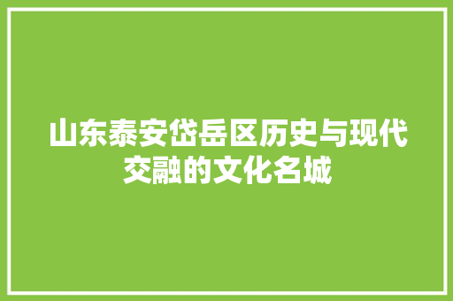山东泰安岱岳区历史与现代交融的文化名城  第1张