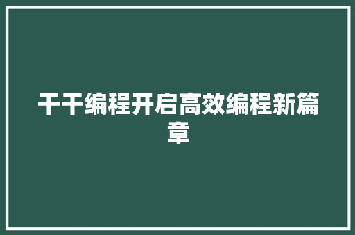 干干编程开启高效编程新篇章