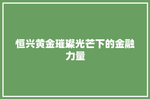 恒兴黄金璀璨光芒下的金融力量