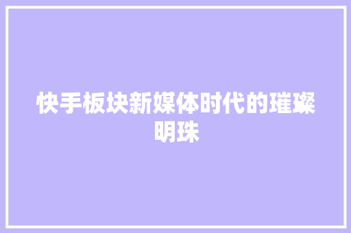 快手板块新媒体时代的璀璨明珠  第1张