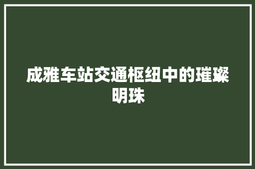 成雅车站交通枢纽中的璀璨明珠  第1张