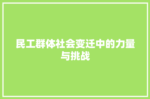民工群体社会变迁中的力量与挑战