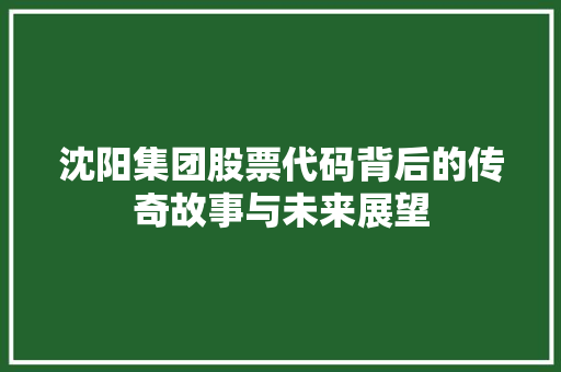沈阳集团股票代码背后的传奇故事与未来展望