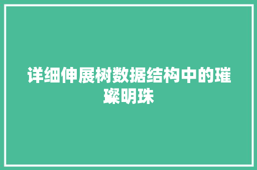 详细伸展树数据结构中的璀璨明珠  第1张