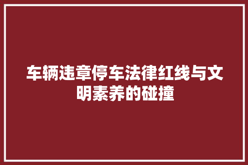 车辆违章停车法律红线与文明素养的碰撞  第1张