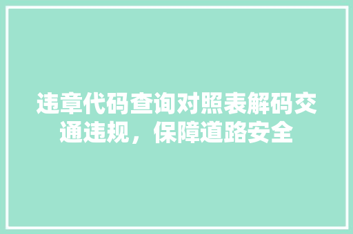 违章代码查询对照表解码交通违规，保障道路安全