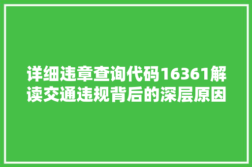 详细违章查询代码16361解读交通违规背后的深层原因与对策