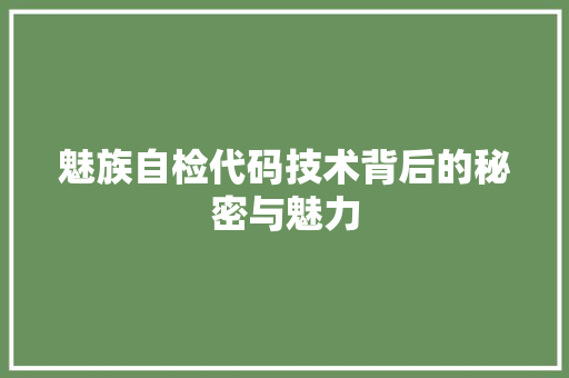 魅族自检代码技术背后的秘密与魅力  第1张