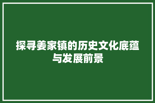 探寻姜家镇的历史文化底蕴与发展前景