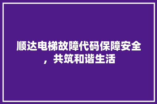 顺达电梯故障代码保障安全，共筑和谐生活  第1张