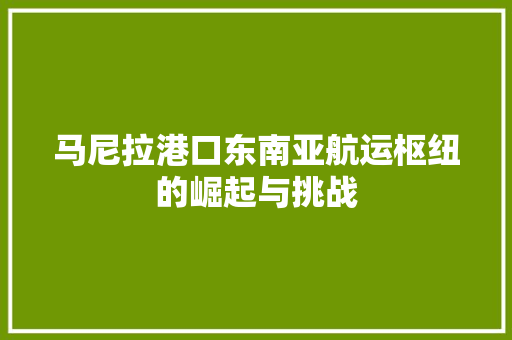 马尼拉港口东南亚航运枢纽的崛起与挑战