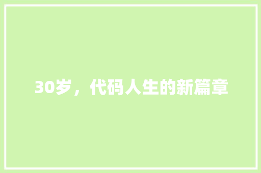 30岁，代码人生的新篇章