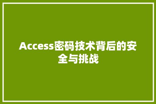 Access密码技术背后的安全与挑战