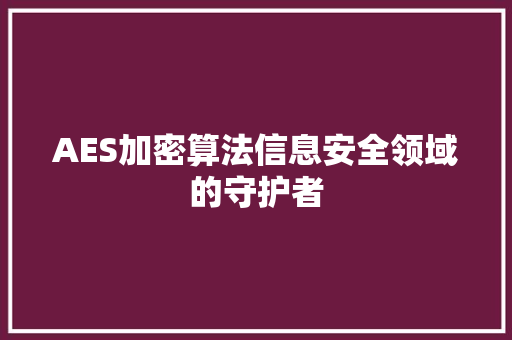 AES加密算法信息安全领域的守护者