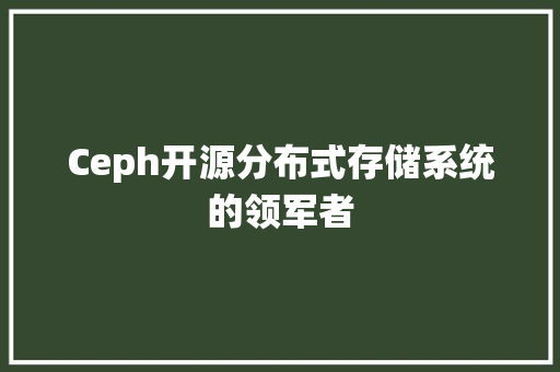 Ceph开源分布式存储系统的领军者
