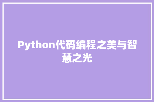 Python代码编程之美与智慧之光