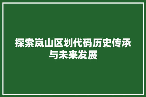 探索岚山区划代码历史传承与未来发展