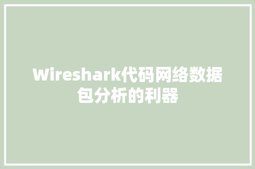 Wireshark代码网络数据包分析的利器