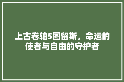 上古卷轴5图留斯，命运的使者与自由的守护者  第1张
