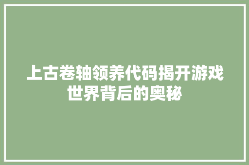 上古卷轴领养代码揭开游戏世界背后的奥秘