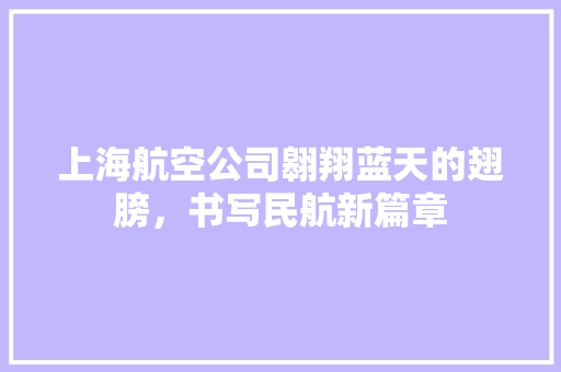 上海航空公司翱翔蓝天的翅膀，书写民航新篇章