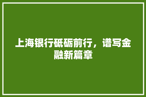 上海银行砥砺前行，谱写金融新篇章