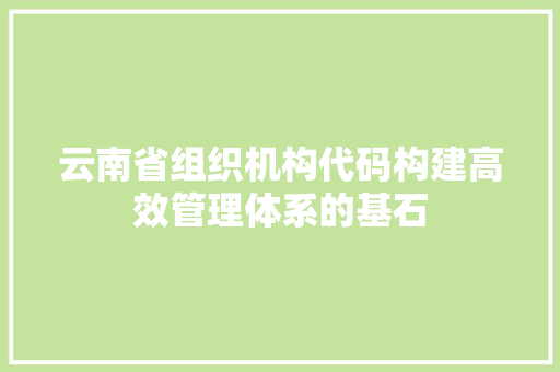 云南省组织机构代码构建高效管理体系的基石