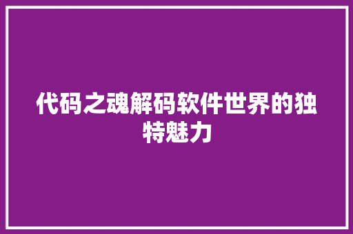 代码之魂解码软件世界的独特魅力