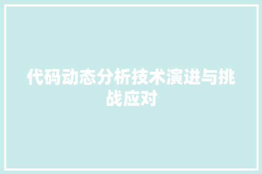 代码动态分析技术演进与挑战应对