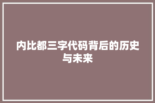 内比都三字代码背后的历史与未来  第1张