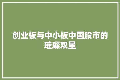 创业板与中小板中国股市的璀璨双星