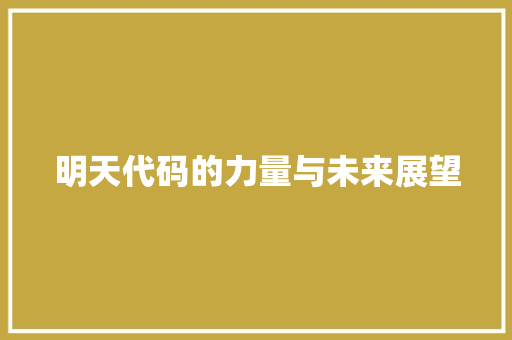 明天代码的力量与未来展望